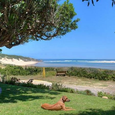 Milkwood Manor B & B Kenton on Sea Exteriör bild