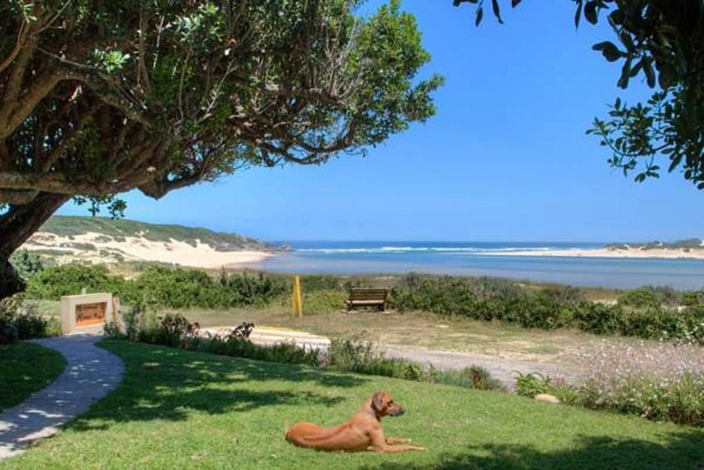 Milkwood Manor B & B Kenton on Sea Exteriör bild